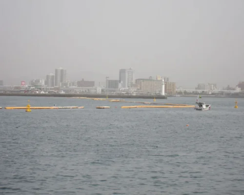 Вид Хиросимы. Фото В.Полякова