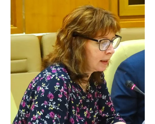 Елена Струкова (Центр исследований современной истории ГПИБ)