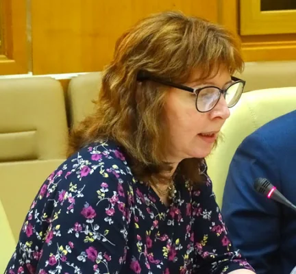Елена Струкова (Центр исследований современной истории ГПИБ)