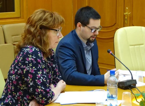 Елена Струкова (Центр исследований современной истории ГПИБ), Иван Кочедыков (МВШСЭН)