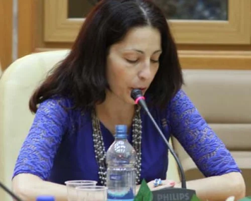 Ирина Чечель (Гефтер.ру)