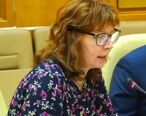 Елена Струкова (Центр исследований современной истории ГПИБ)